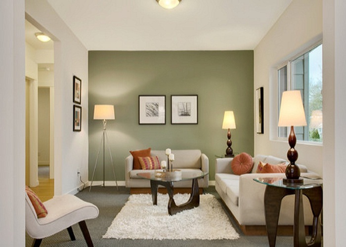 comfy green living room