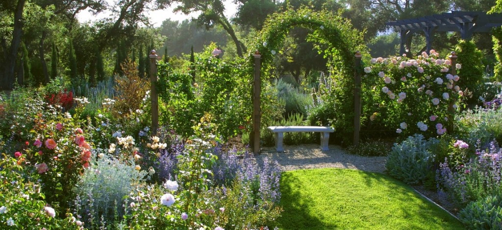 A classic garden with beautiful flowers and a bench, reminiscent of manor houses.
