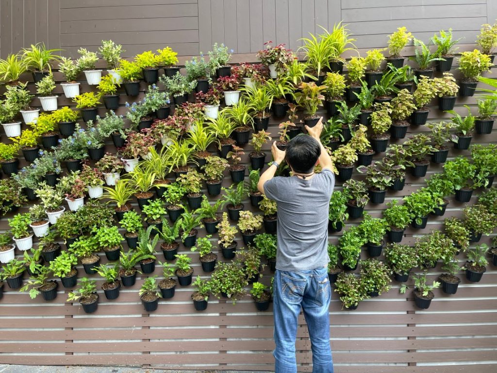 Man arranging plants on a vertical garden wall.