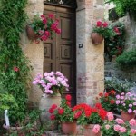 A stone house with potted flowers and an entryway door.