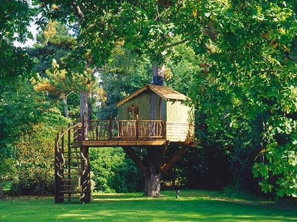 A tree house with unique designs in the middle of a green field.