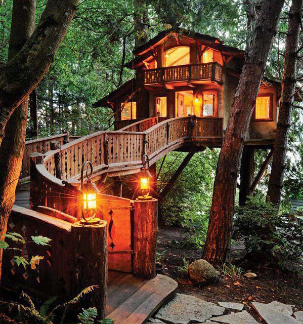 Treehouse designs in the woods.