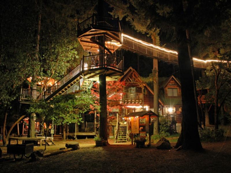 A illuminated treehouse showcasing innovative designs.