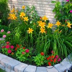 A fantastic flower bed with colorful flowers in it.