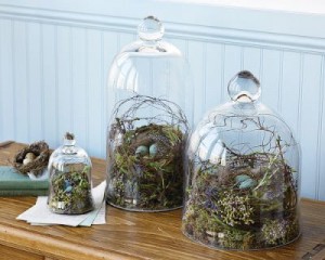 Three glass domes containing moss and birds add allure to a wooden table.