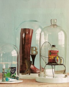 The Allure of Decorating with Glass Cloches.