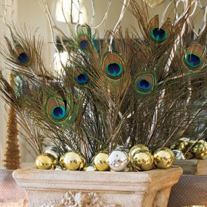 Decorating with Peacock Feathers for the Holiday Season.