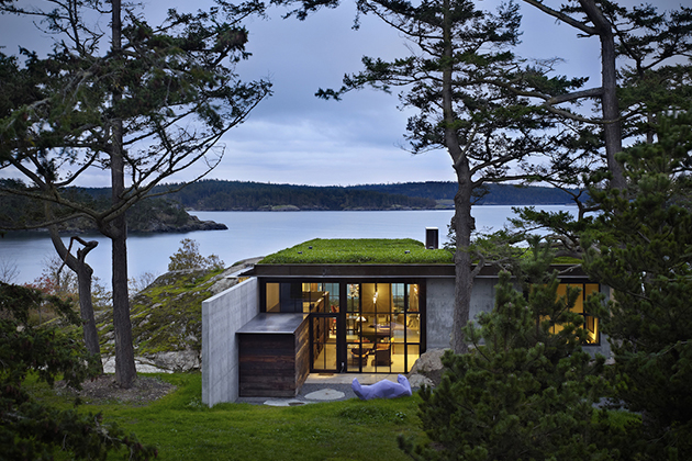 A house with a green roofing system overlooking the ocean.