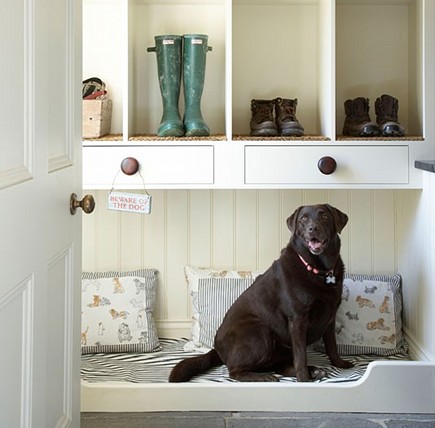 Designing a space for your dog in your home.