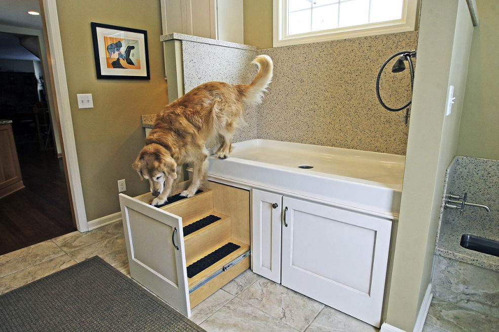 A dog standing on top of a sink in a bathroom, showcasing a space for your pet.