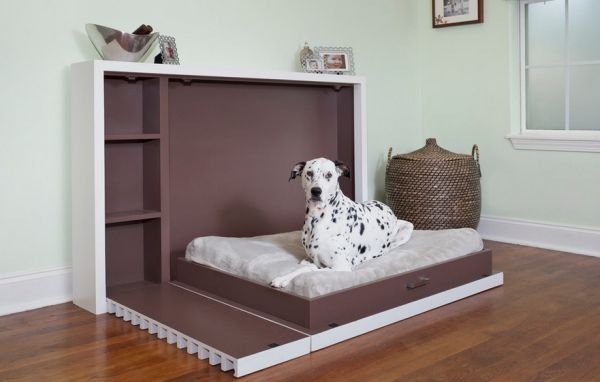 A dalmatian resting on a bed in a room designed for pets.