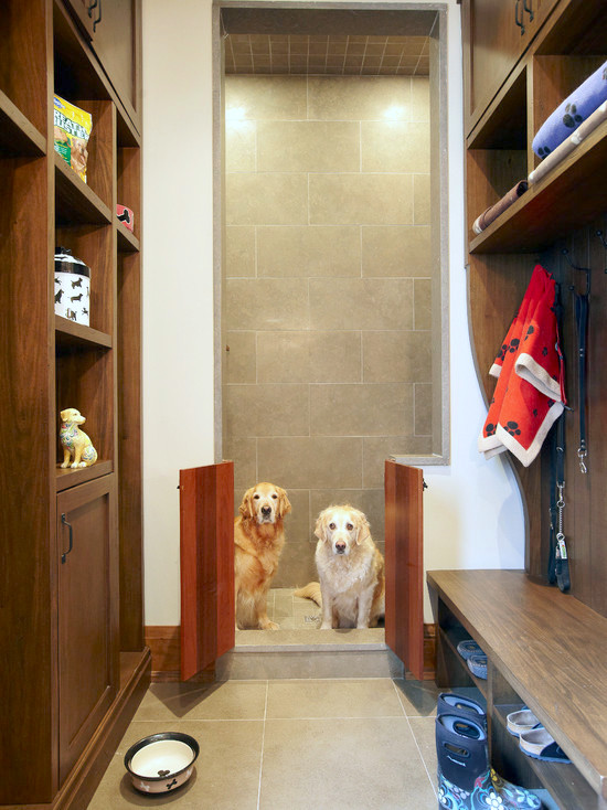 Designing a mudroom space for your dogs.