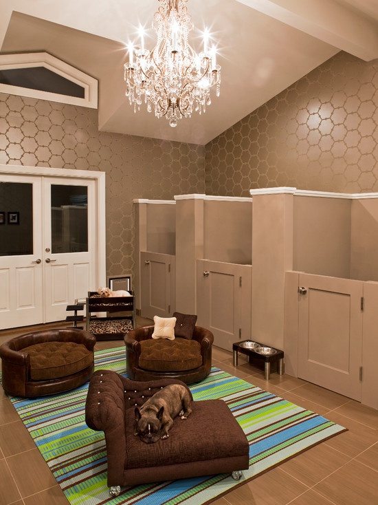 Designing a stylish dog room with chandelier and couches.