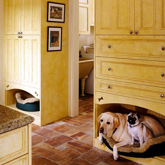 A dog in a yellow kitchen.