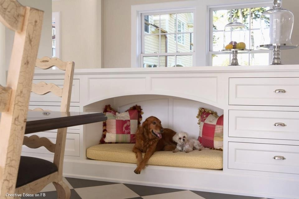 Designing a Dog Space in Your Home.