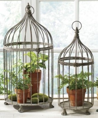 Two vintage bird cages with plants, perfect for decorating.