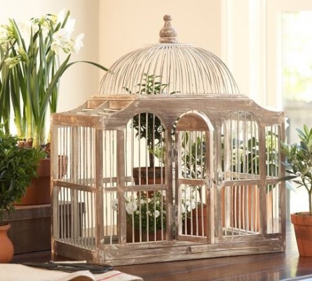 A vintage bird cage adds charm to a table adorned with potted plants.