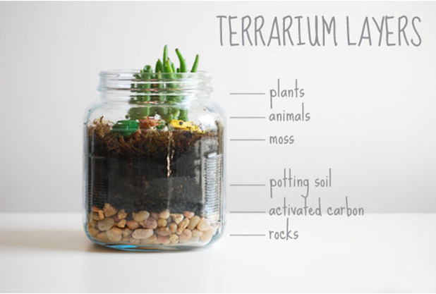 Terrarium Layers