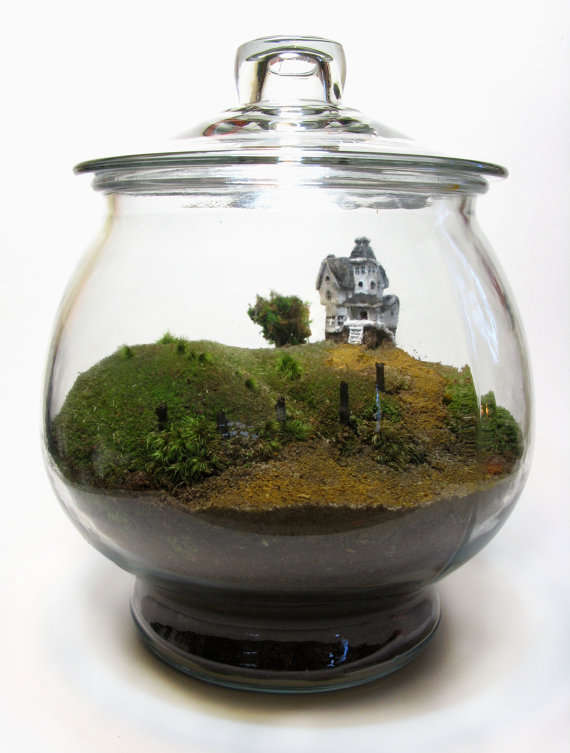 A small terrarium.