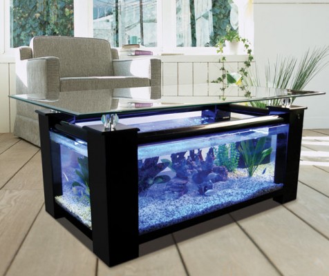 An alternative coffee table featuring a fish tank.