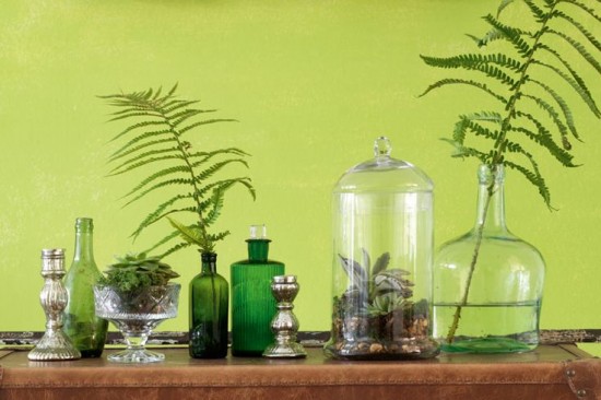 Glass jars filled with ferns on a wooden table.