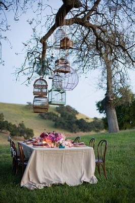 A backyard dining table setting with bird cages hanging from a tree.