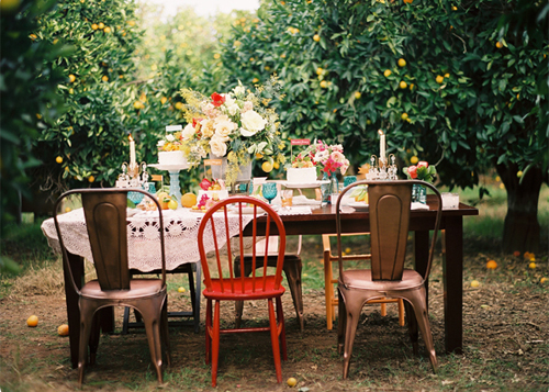 A table set up in a backyard orange orchard for dining.