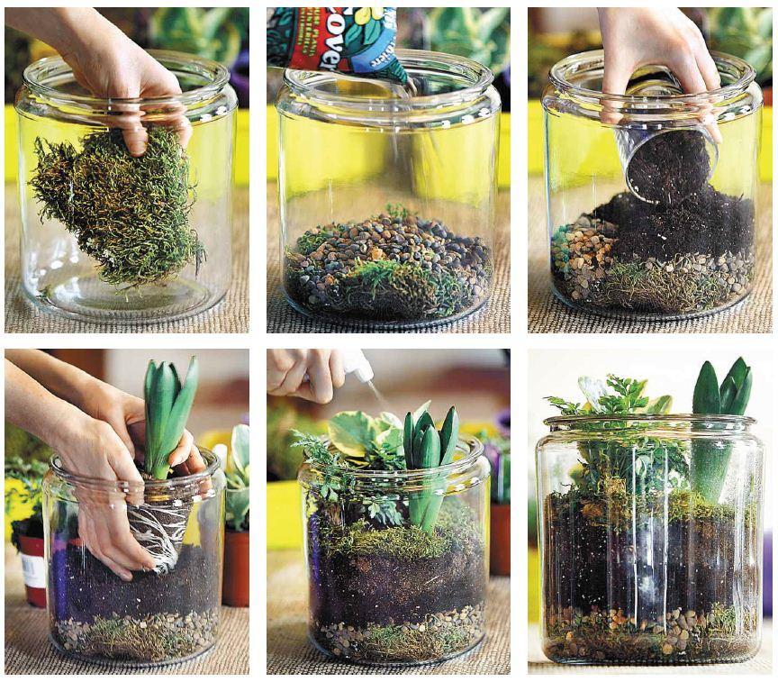 How to make a terrarium in a jar.