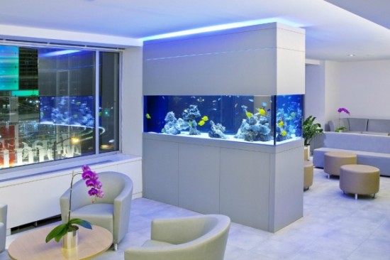 A home aquarium forms the perfect room divider