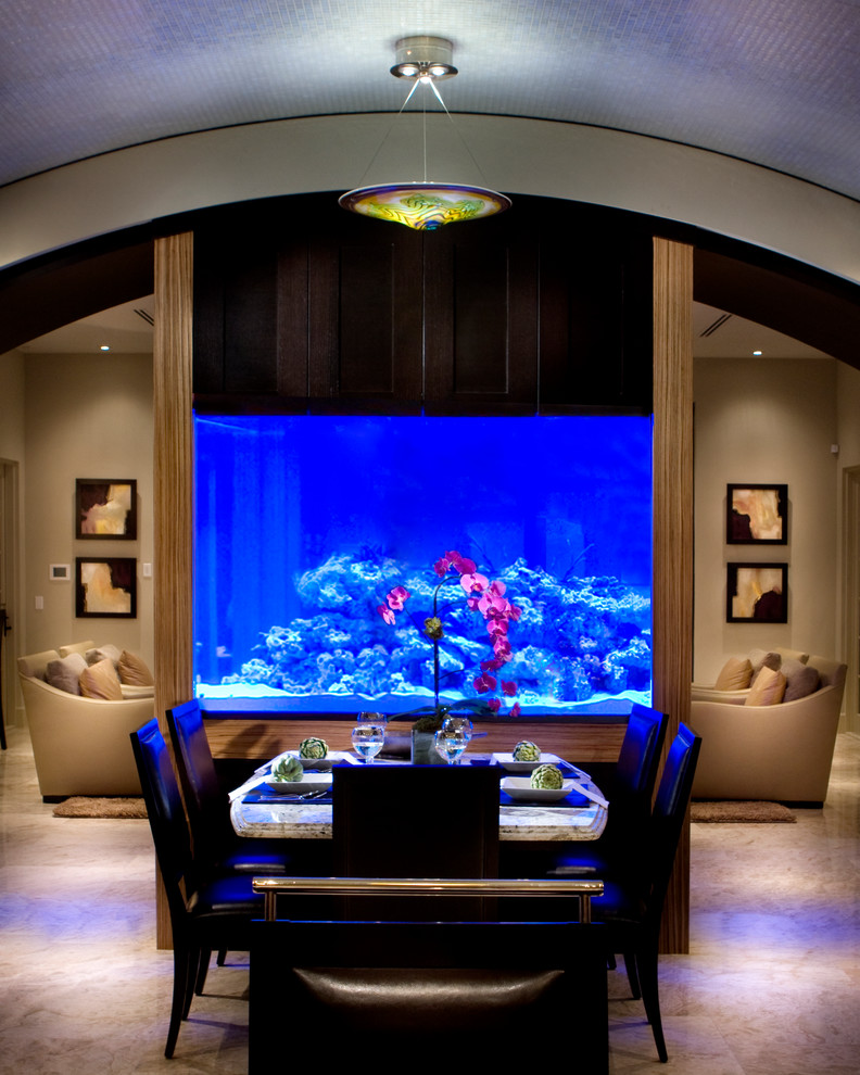 The Home Aquarium for a Unique Interior Feature