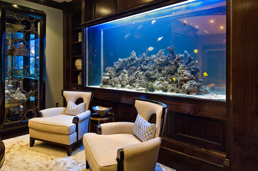 Interior With A Mesmerizing Home Aquarium