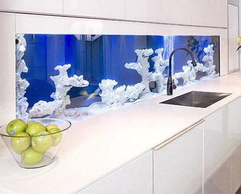An under counter fish aquarium is a surprising feature in the kitchen