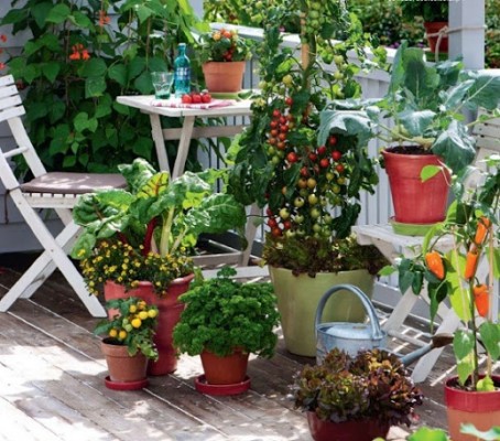 Balcony vegetable garden