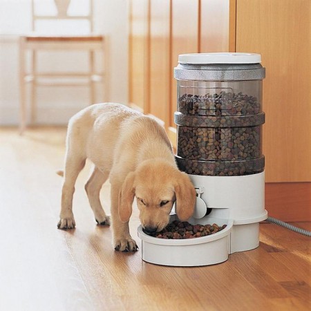 A puppy is eating from a dog food dispenser in a staged home.