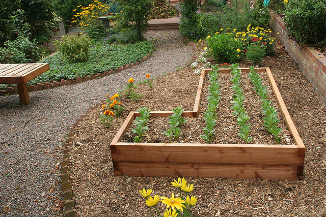 Raised beds the perfect garden for those that like things tidy or have limited space 