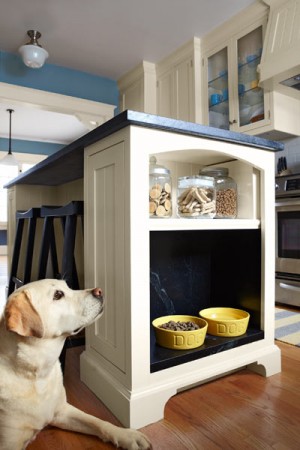 A dog is laying under a kitchen island, while staging your home.