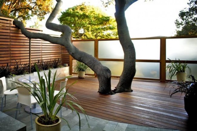 Making the Most of Your Backyard Deck with a Tree.
