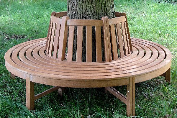 Curved garden bench surrounds a tree
