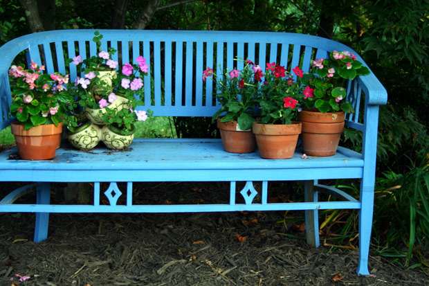 A charming bench for the cottage garden