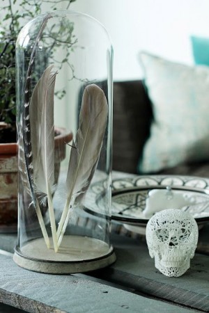 Place feathers in glass jars and domes for natural displays