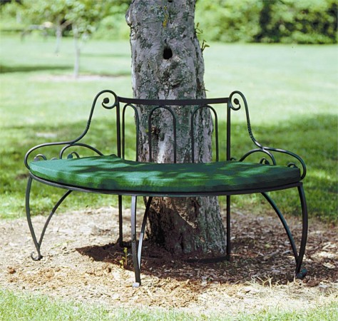A wrought-iron circular bench fits perfectly next to this tree