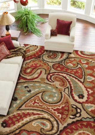 Traditional paisley patterned rug