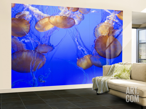 A living room with ocean accents featuring jellyfish on the wall.