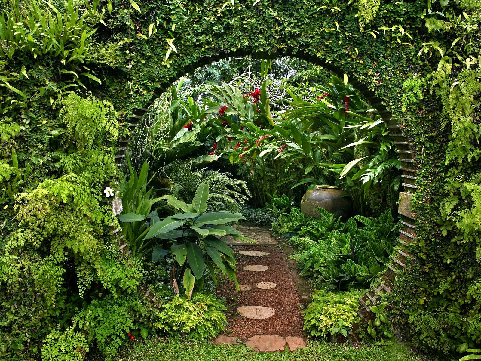 An archway makes a grand entrance into a lush green garden.