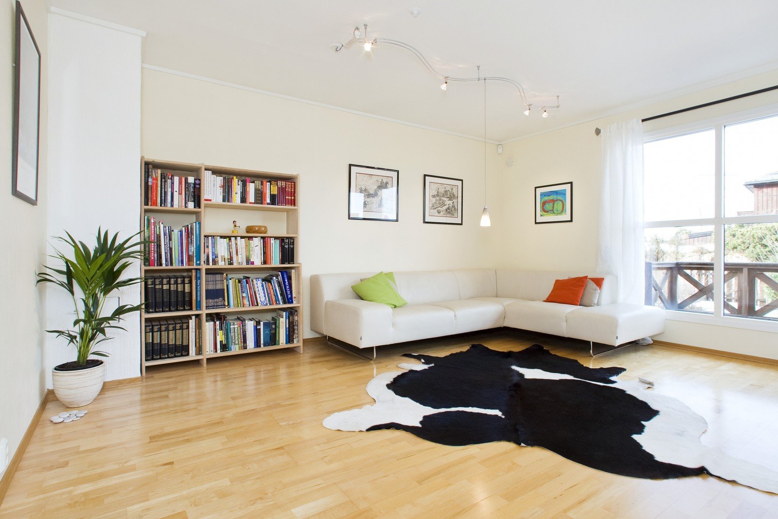 A modern woman's black and white cowhide rug.