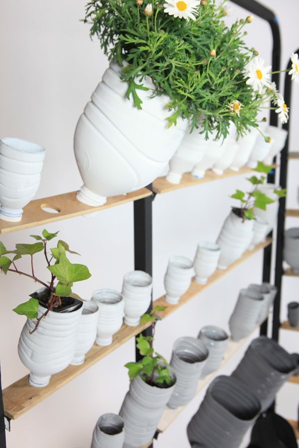 A shelf full of white pots with herb plants on them.