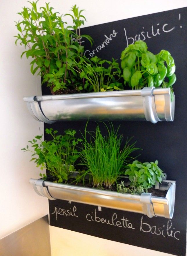 A wall mounted herb garden with herbs.