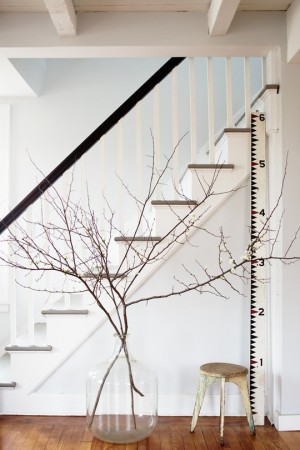 An interior design trend featuring a stairway with a tree.