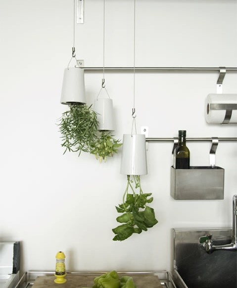 A kitchen with a hanging herb garden.