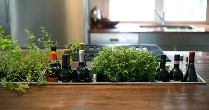 A kitchen with a herb garden and wine bottles on a counter.